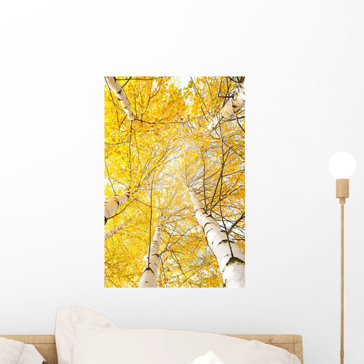 Autumn Trees with Yellowing