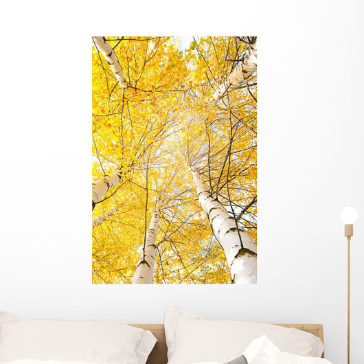 Autumn Trees with Yellowing