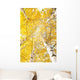 Autumn Trees with Yellowing