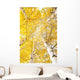 Autumn Trees with Yellowing