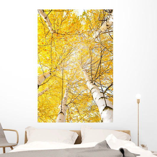 Autumn Trees with Yellowing
