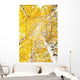 Autumn Trees with Yellowing