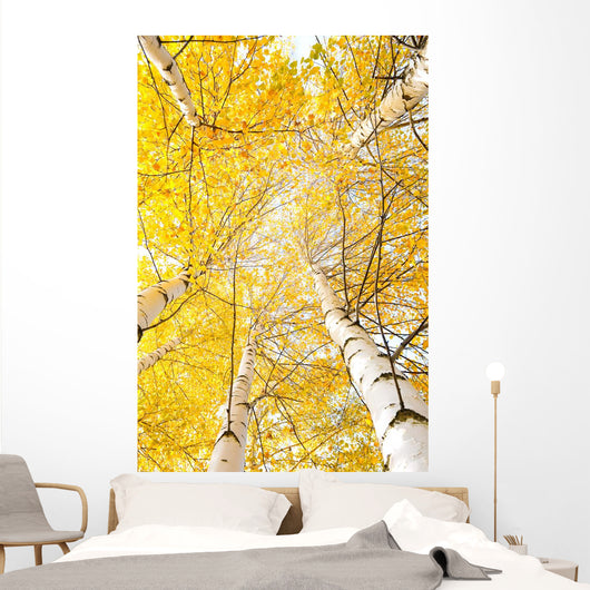 Autumn Trees with Yellowing