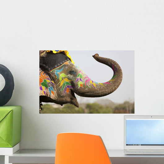 Decorated Elephant Elephant Festival