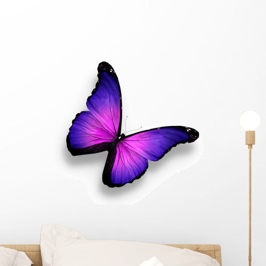 Violet Butterfly White