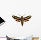 Hawkmoth Wall Decal