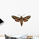 Hawkmoth Wall Decal