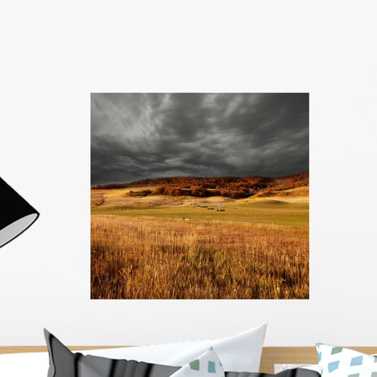 Autumn Field