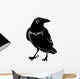Crow
