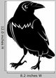 Crow