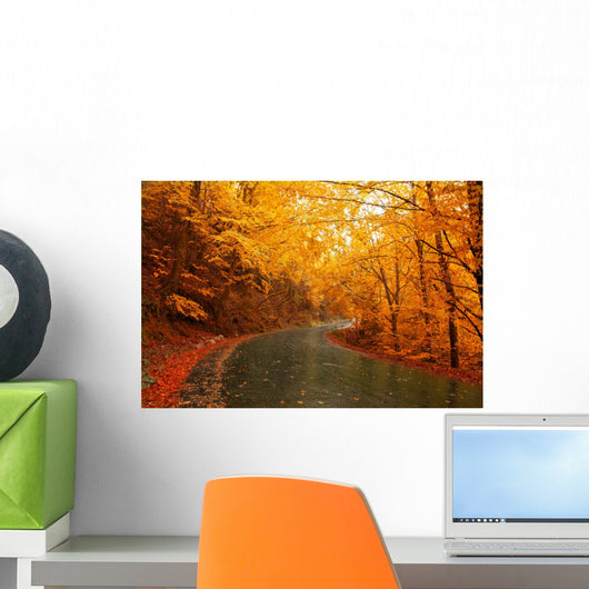 Autumn Landscape with Road