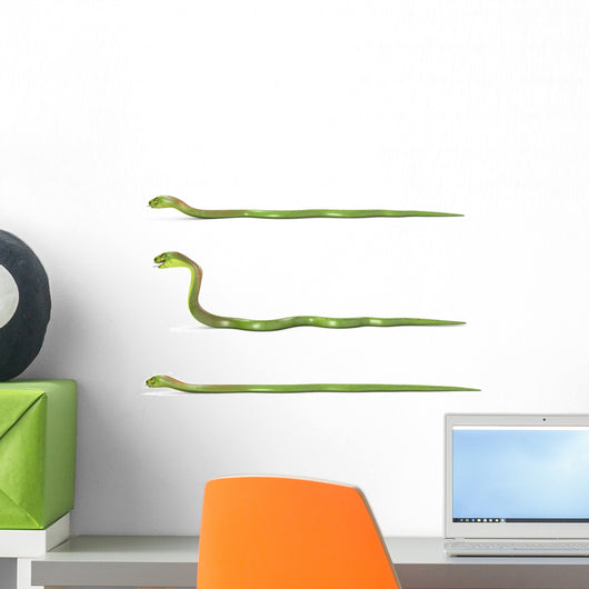 Set Crowling Green Cobras Wall Mural