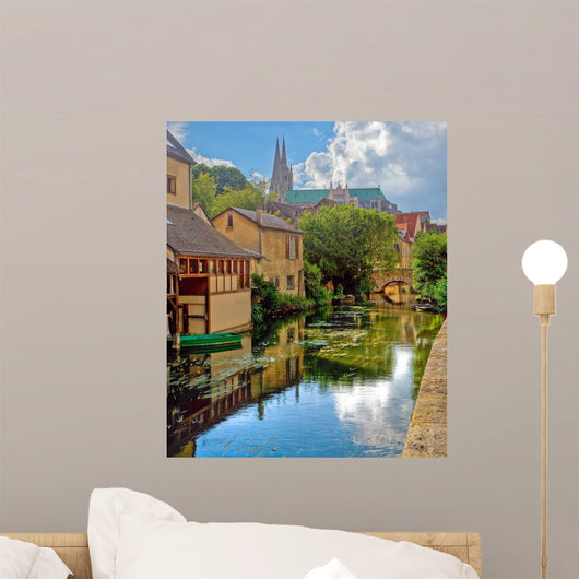 Cathedral Our Lady Chartre Wall Mural