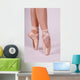 Ballett Wall Mural