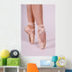 Ballett Wall Mural