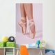 Ballett Wall Mural