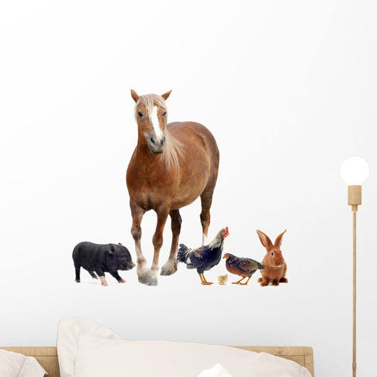 Farm Animals