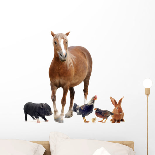 Farm Animals