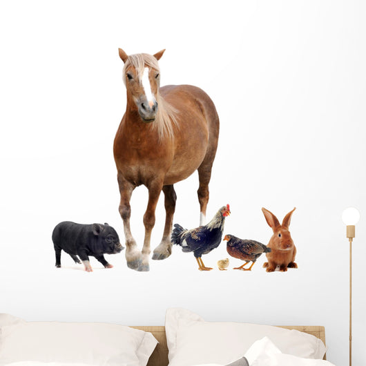 Farm Animals