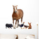 Farm Animals