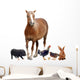 Farm Animals