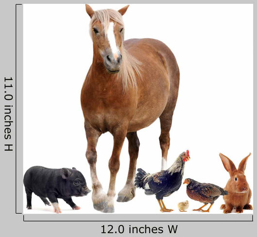 Farm Animals
