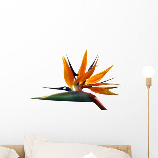Paradise Bird Wall Decal