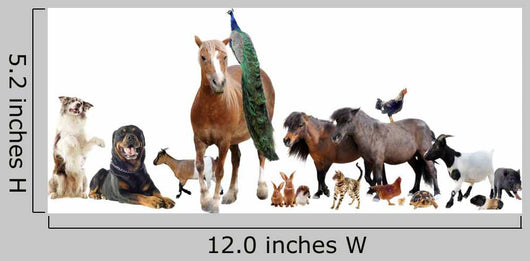 farm animals Wall Decal