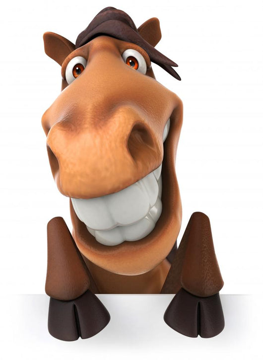 Fun Horse Wall Decal