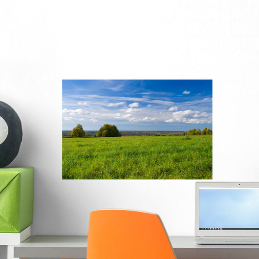 Beautiful summer landscape. The nature. Wall Mural