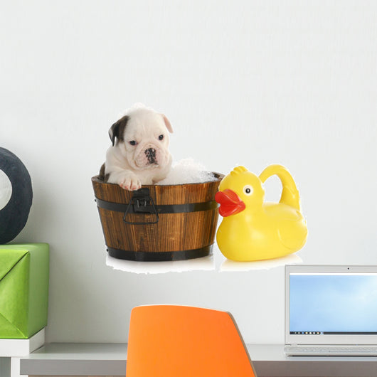 Puppy Bath Time