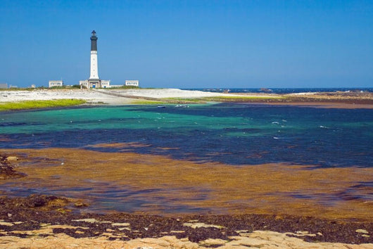 Grand Lighthouse Island Sein