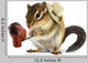 Funny Chipmunk Cowboy with
