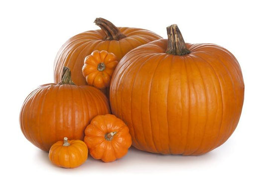 Pumpkins Wall Decal
