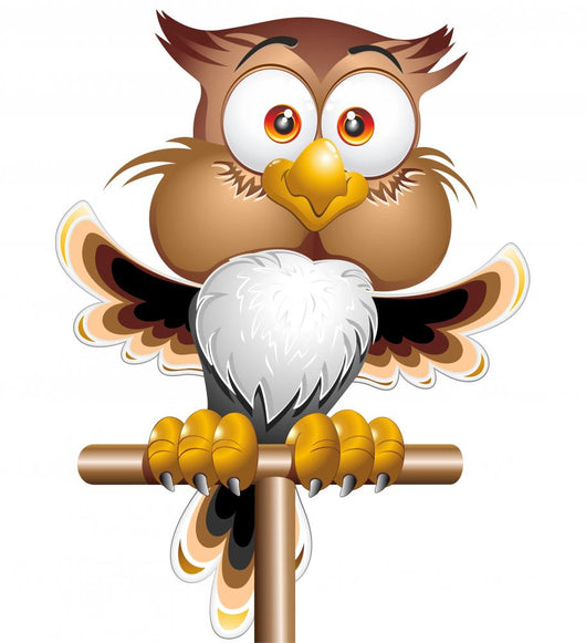 Happy Owl-Owl Happy Cartoon Character-Vector Wall Decal
