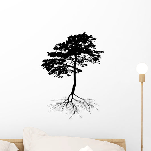Black Pine Tree with