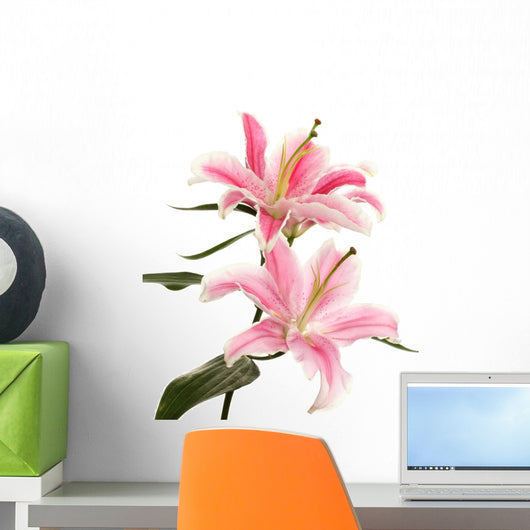 Beautiful Pink Lily White Wall Decal
