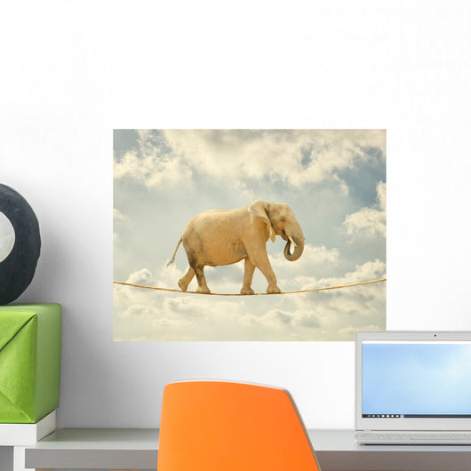 Elephant Walking Rope