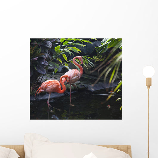 Goose Stepping Flamingo's Wall Mural