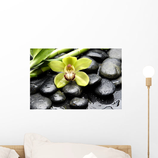 Macro Gorgeous Orchid with Wall Mural
