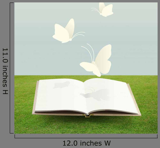 Open Book Grass with