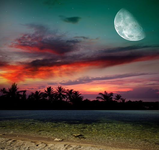 Magical Evening on the Ocean Wall Mural