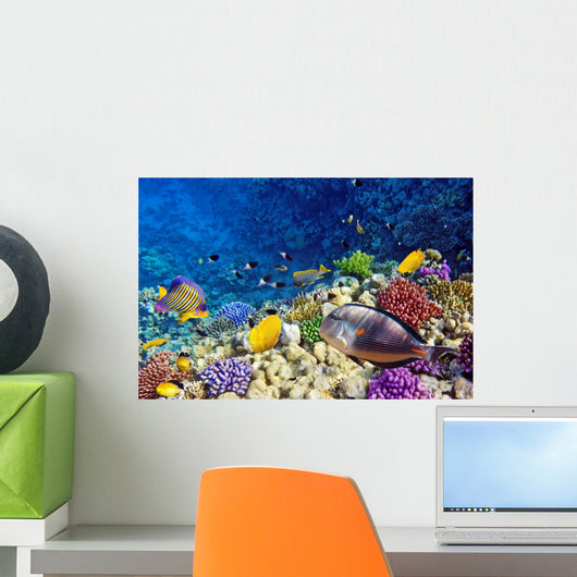 Coral and Fish Red