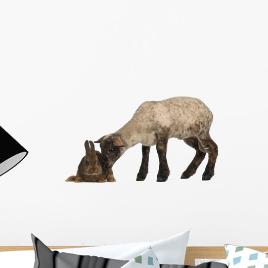 Lamb Sniffing Rabbit against Wall Decal