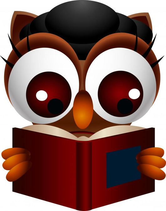 Cute Owl Reading Book Wall Decal