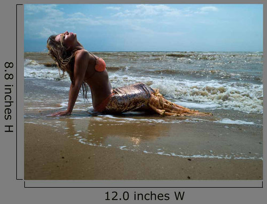 Mermaid Girl