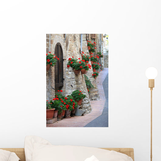 Geranium Flowers Streets Assisi