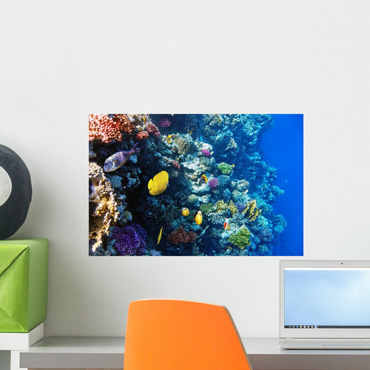 Coral and Fish Red Wall Mural
