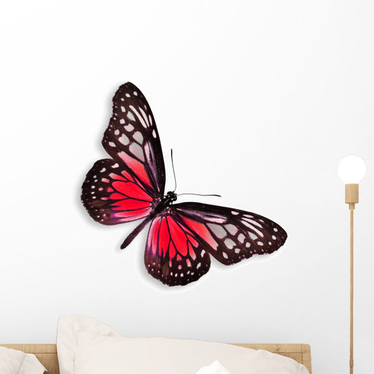 Red Butterfly