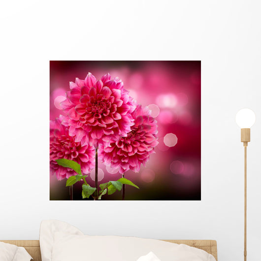 Dahlia Autumn Flowers
